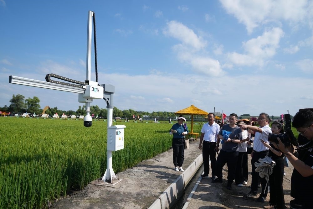 在北大荒集團閆家崗農場有限公司農業(yè)現代化示范區(qū)，工作人員在介紹利用數字技術的葉齡診斷儀（2023年8月10日攝）。新華社記者 王建威 攝