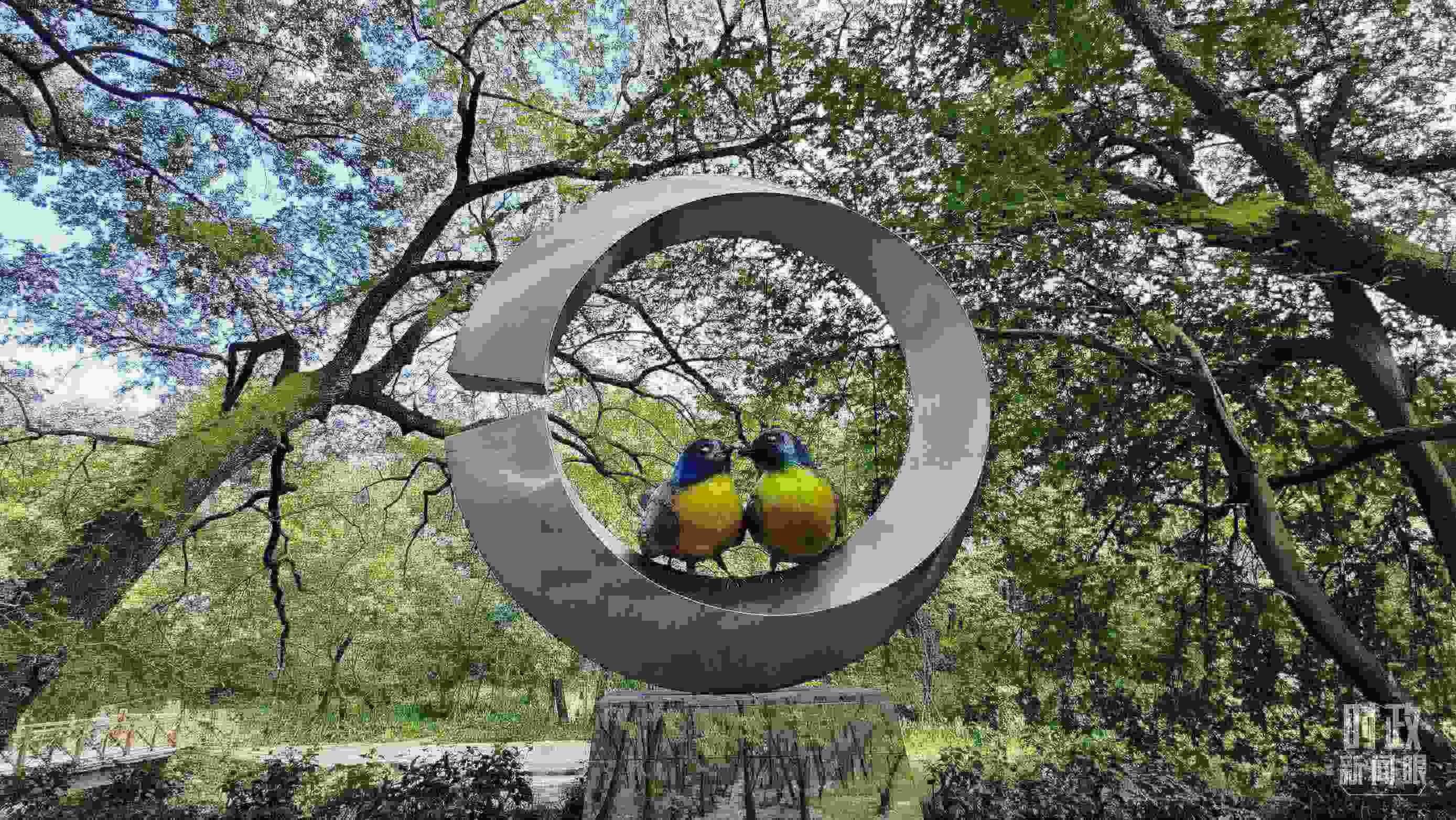 △石門村里的藍(lán)冠噪鹛雕像。（總臺(tái)央視記者許永松拍攝）