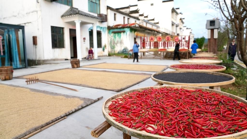 近日拍攝的江西省上饒市婺源縣秋口鎮(zhèn)王村石門自然村。新華社記者 胡晨歡 攝