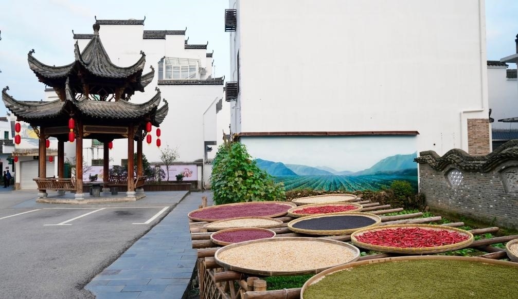 近日拍攝的江西省上饒市婺源縣秋口鎮(zhèn)王村石門自然村曬秋場景。新華社記者 胡晨歡 攝