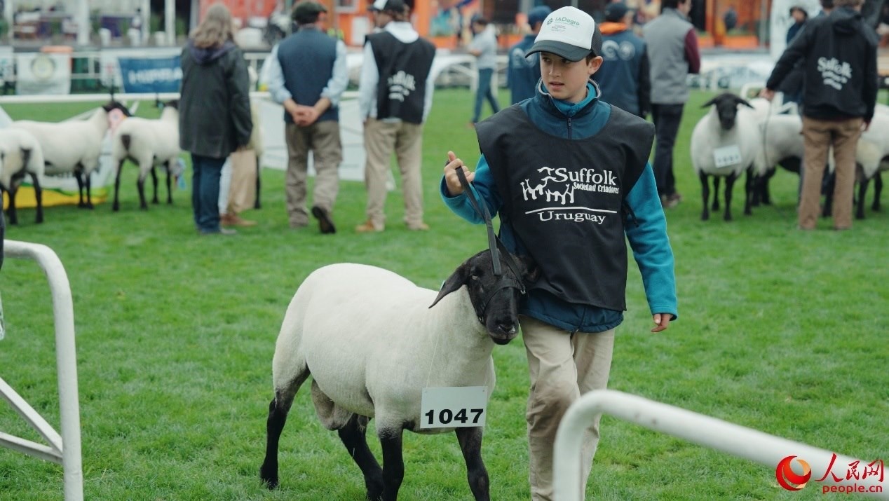 烏拉圭第118屆普拉多牧農(nóng)業(yè)國際博覽會現(xiàn)場。人民網(wǎng)記者 張若涵攝