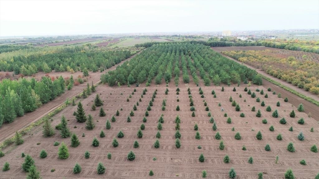 這是2023年9月11日在哈薩克斯坦首都阿斯塔納拍攝的一處植物種質(zhì)資源苗圃（無人機(jī)照片）。新華社發(fā)（法爾哈特·圖克諾夫 攝）