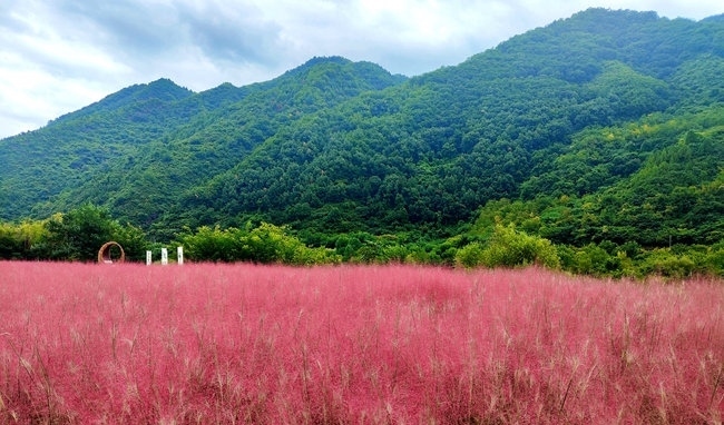 寶成線鳳縣境內(nèi)的路邊。