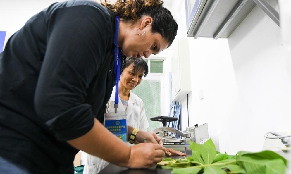 9月17日，來(lái)自哥倫比亞的研修班學(xué)員埃文·奧拉亞（左）在中國(guó)專(zhuān)家的指導(dǎo)下學(xué)習(xí)實(shí)操木薯組培快速繁育技術(shù)。