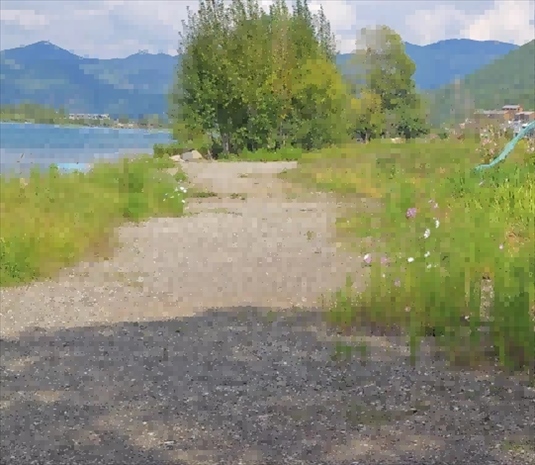 王軍所說被填區(qū)域。 人民網(wǎng)記者 黃鈺攝