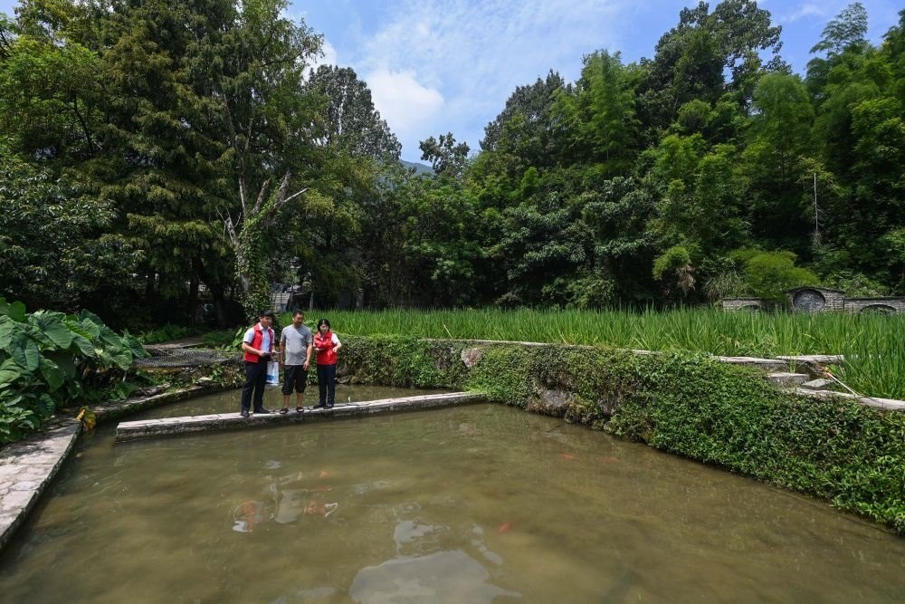 2023年8月17日，浙江省麗水市青田縣方山鄉(xiāng)田魚(yú)養(yǎng)殖戶吳勇強(qiáng)（中）在接受青田農(nóng)商銀行“小蜻蜓”服務(wù)隊(duì)志愿者提供的“惠民易貸”上門(mén)服務(wù)。近年來(lái)，青田縣金融發(fā)展中心聯(lián)合各個(gè)金融機(jī)構(gòu)優(yōu)化配套鄉(xiāng)村振興金融服務(wù)，推出“惠民易貸”“農(nóng)家樂(lè)貸”等金融產(chǎn)品，重點(diǎn)支持涉農(nóng)龍頭企業(yè)及特色種養(yǎng)殖產(chǎn)業(yè)。新華社記者 徐昱 攝