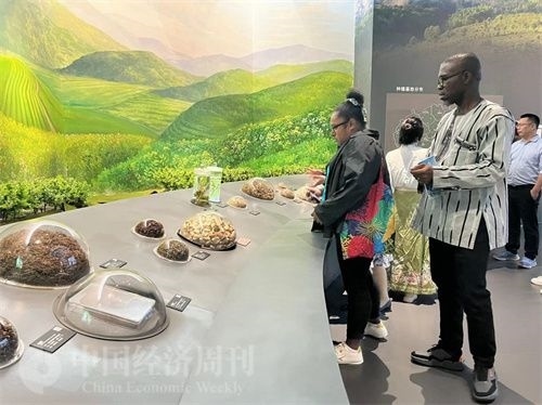  （在中國藥都中醫(yī)藥博物館，外媒記者了解中醫(yī)藥發(fā)展史。中國經(jīng)濟(jì)周刊記者 郭志強 攝）