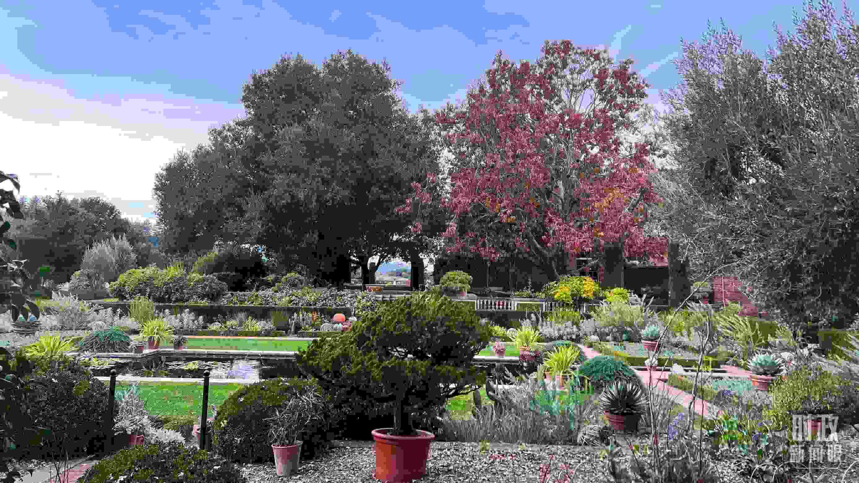 斐洛里莊園被稱作美國20世紀(jì)現(xiàn)存最精美鄉(xiāng)村莊園之一。（總臺央視記者程鋮拍攝）