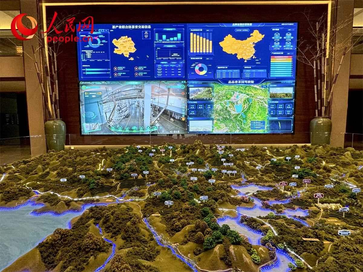 品品香白茶產(chǎn)業(yè)園信息中心數(shù)智化大屏。人民網(wǎng)記者 劉微攝