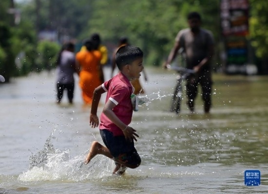 11月24日，一名男孩在斯里蘭卡加姆珀哈涉水出行。新華社發(fā)（阿吉特·佩雷拉攝）