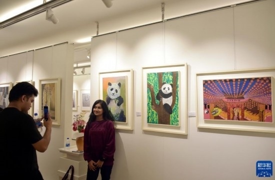 11月22日，在孟加拉國達卡，人們在“國家印象”繪畫展上參觀拍照。新華社發(fā)（薩利姆攝）