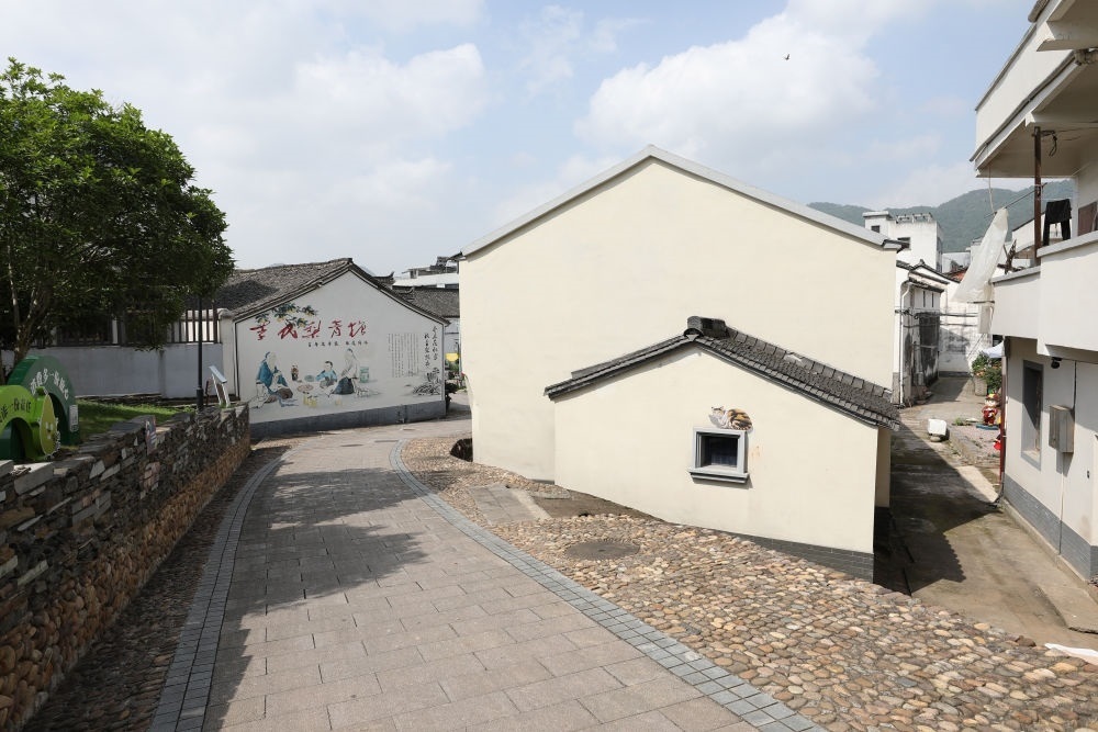 浙江省義烏市李祖村一景（2023年5月23日攝）。新華社記者 杜瀟逸 攝