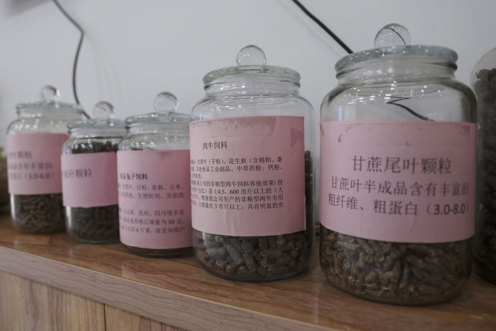 這是12月13日在來賓市興賓區(qū)小平陽鎮(zhèn)一家飼料廠拍攝的以甘蔗尾葉為原料制成的飼料。