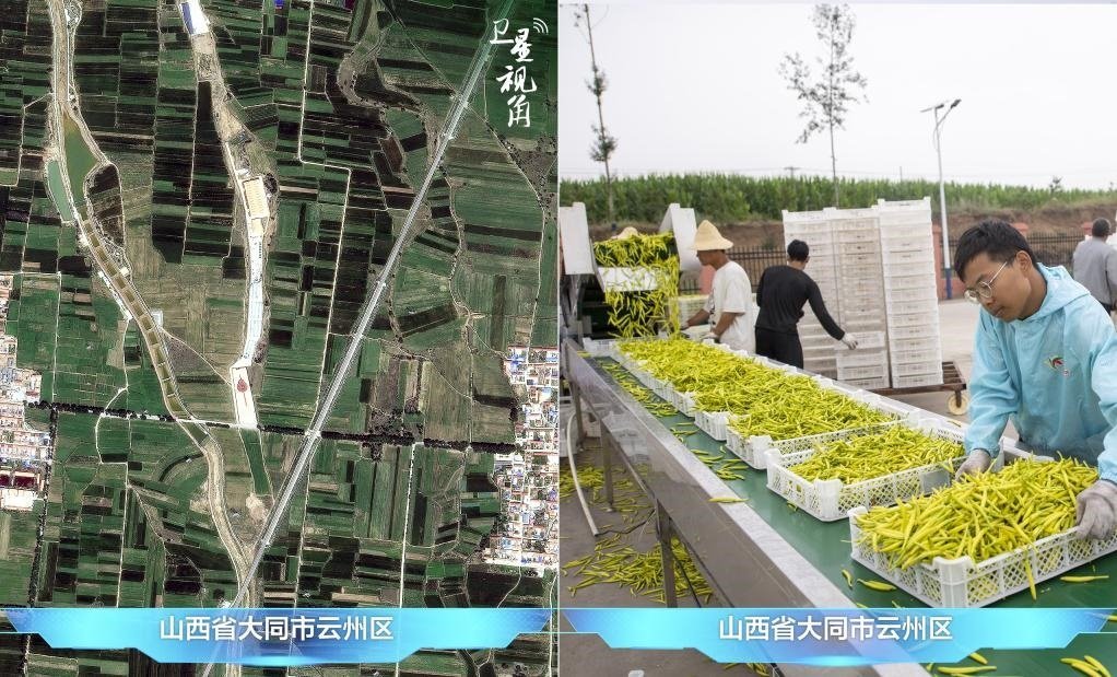 當(dāng)前，大同市開發(fā)黃花菜品、食品、飲品、功能食品、化妝品、文創(chuàng)產(chǎn)品六大系列130余種，全產(chǎn)業(yè)鏈產(chǎn)值超40億元。