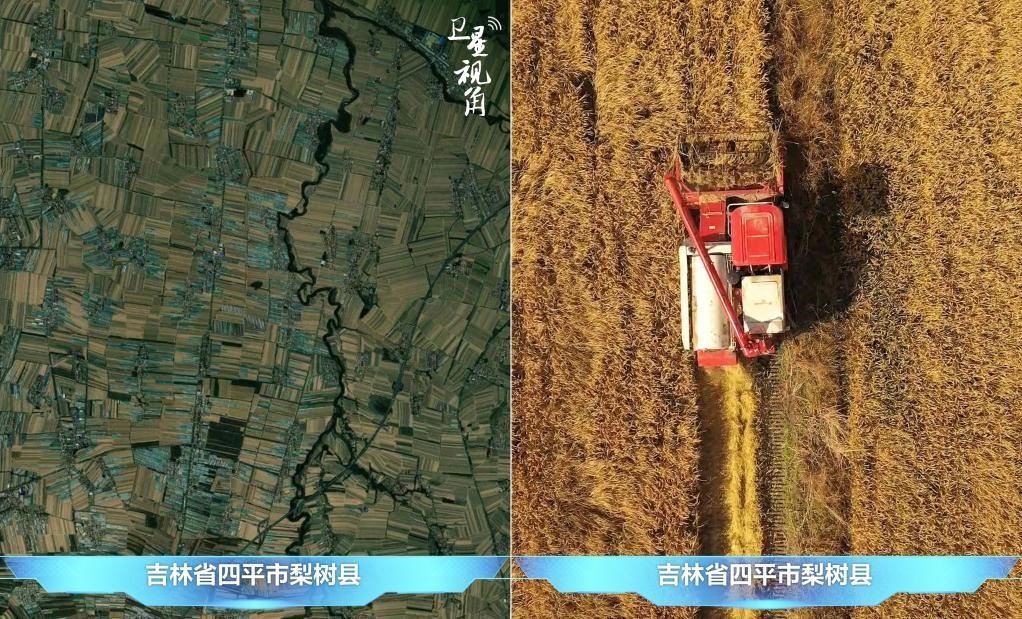 隨著現(xiàn)代化農(nóng)機(jī)普及應(yīng)用，保護(hù)性耕作“梨樹模式”得以大面積推廣，不僅使黑土地保護(hù)與利用持續(xù)深入，更為糧食作物高產(chǎn)穩(wěn)產(chǎn)助力。