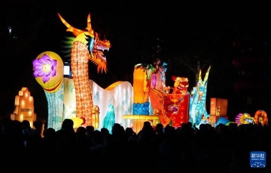 2月11日晚，人們在濟南市趵突泉公園觀賞花燈。