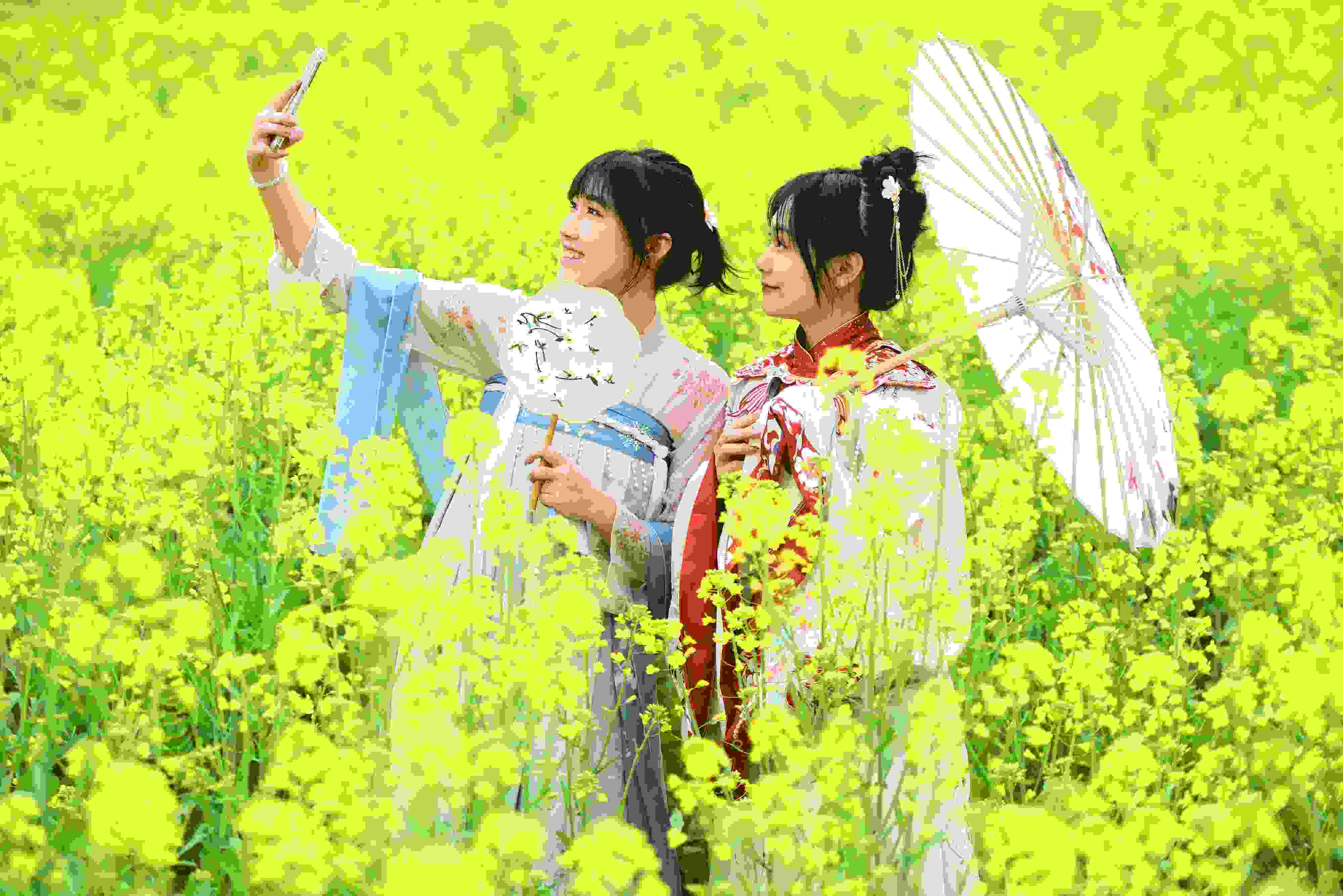 △ 2024年2月16日，廣西賀州，在富川瑤族自治縣麥嶺鎮(zhèn)三民村，游客在油菜花田間賞花拍照。