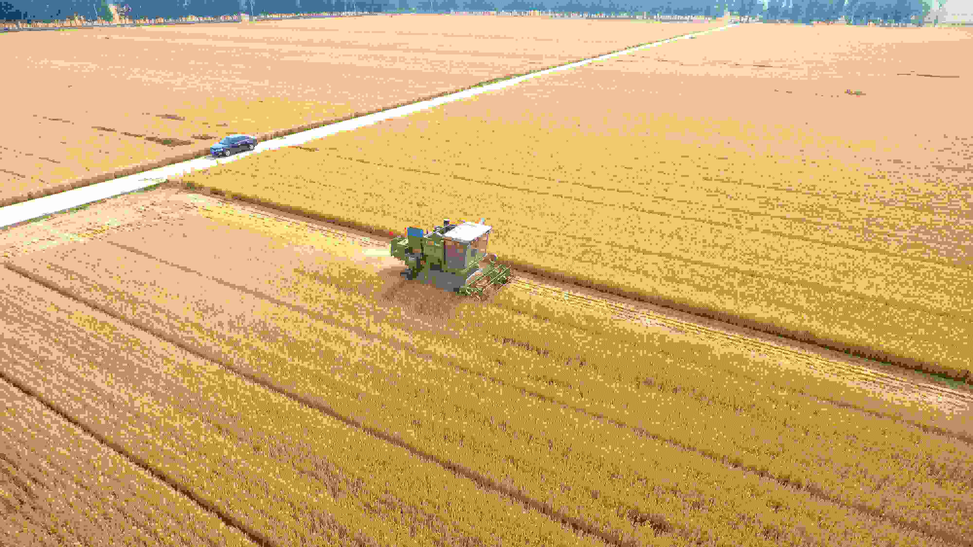 △ 2023年6月5日，山東聊城茌平區(qū)賈寨鎮(zhèn)王藥包村，收割機(jī)在田間進(jìn)行小麥?zhǔn)崭钭鳂I(yè)。