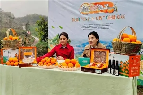 2021年2月26日，在重慶渝北區(qū)大盛鎮(zhèn)青龍村舉辦的直播活動(dòng)現(xiàn)場。