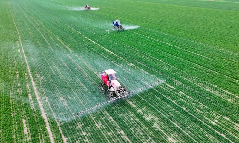 2024年2月18日，安徽省亳州市，利辛縣紀(jì)王場鄉(xiāng)孫老家村麥田，農(nóng)民駕駛自走式高桿噴霧機(jī)對小麥進(jìn)行噴藥作業(yè)。