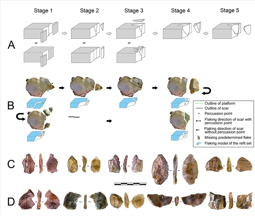 岑家灣遺址“準備石核技術(shù)”及相關(guān)石制品。（受訪單位供圖）