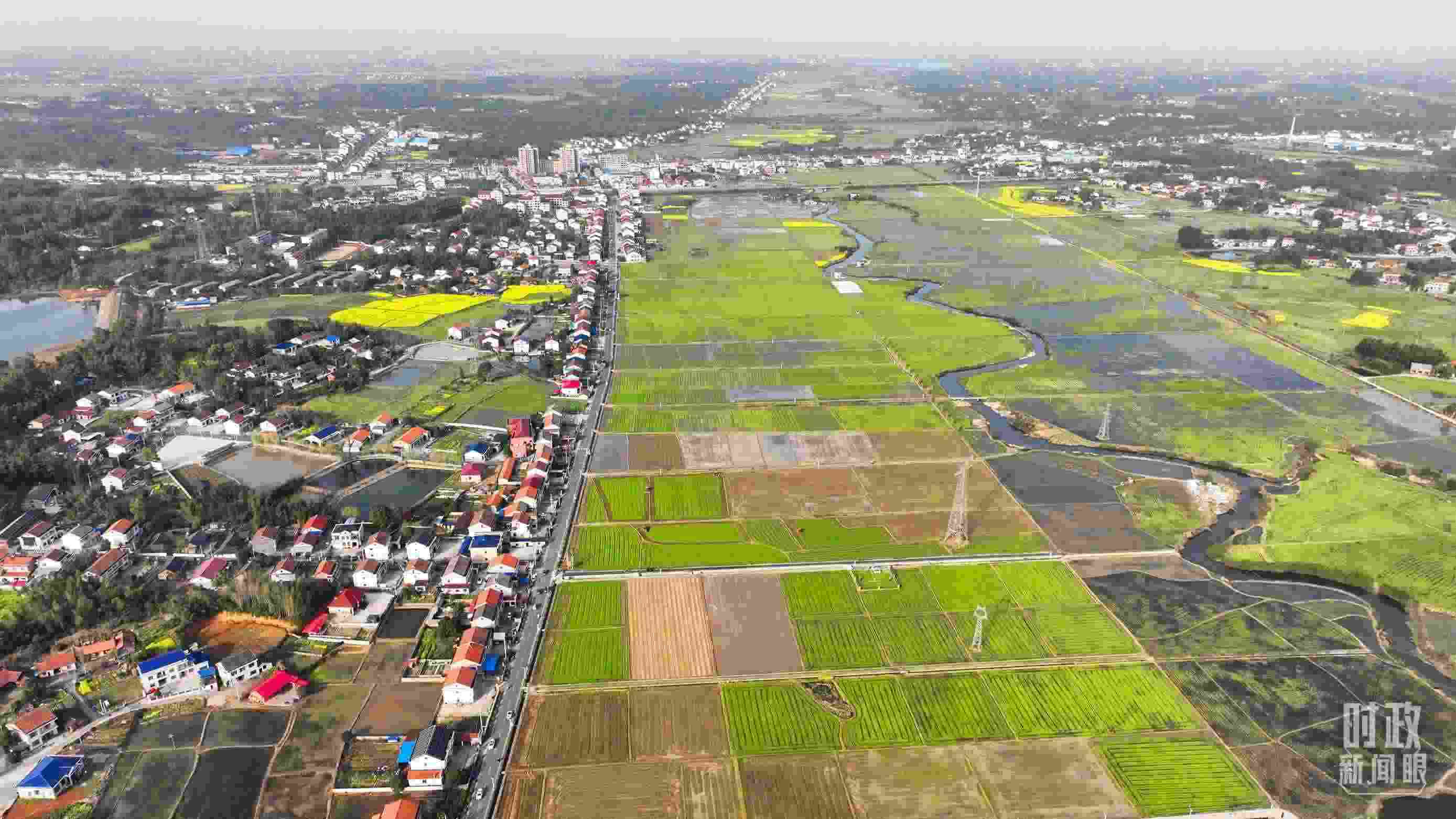 △俯瞰常德市謝家鋪鎮(zhèn)港中坪村。（總臺(tái)國(guó)廣記者李晉拍攝）