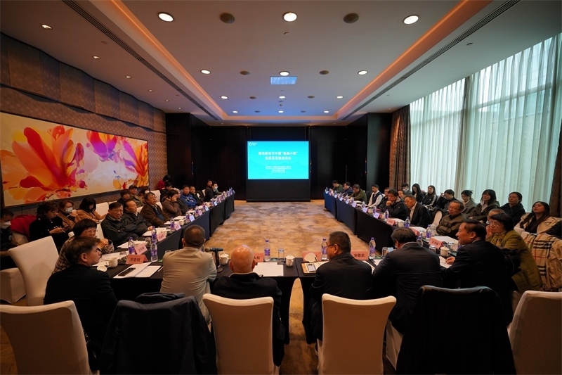 座談會(huì)現(xiàn)場(chǎng)。主辦方供圖