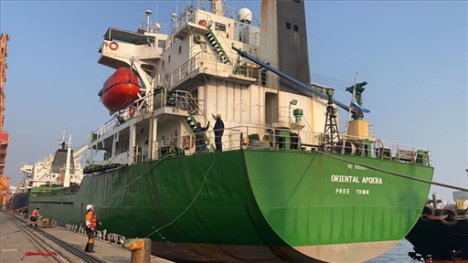 中蘇海運直航貨輪靠泊蘇里南碼頭。中國駐蘇里南大使館供圖