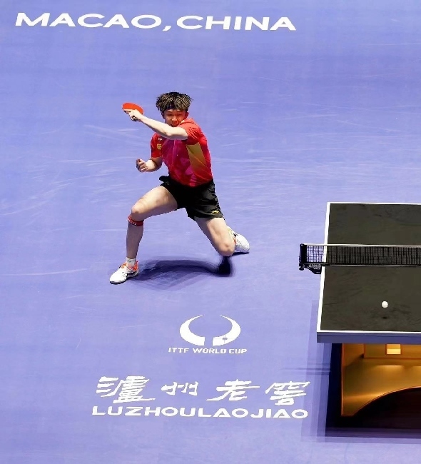 王楚欽在比賽中。賽事方供圖