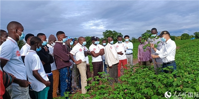 項目組長首小勇向當?shù)孛揶r(nóng)做技術講解。人民網(wǎng)記者 黃培昭攝