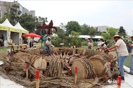 坎波·馬特活動現(xiàn)場。埃內斯托·多明戈斯攝