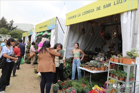 坎波·馬特活動現(xiàn)場。埃內斯托·多明戈斯攝