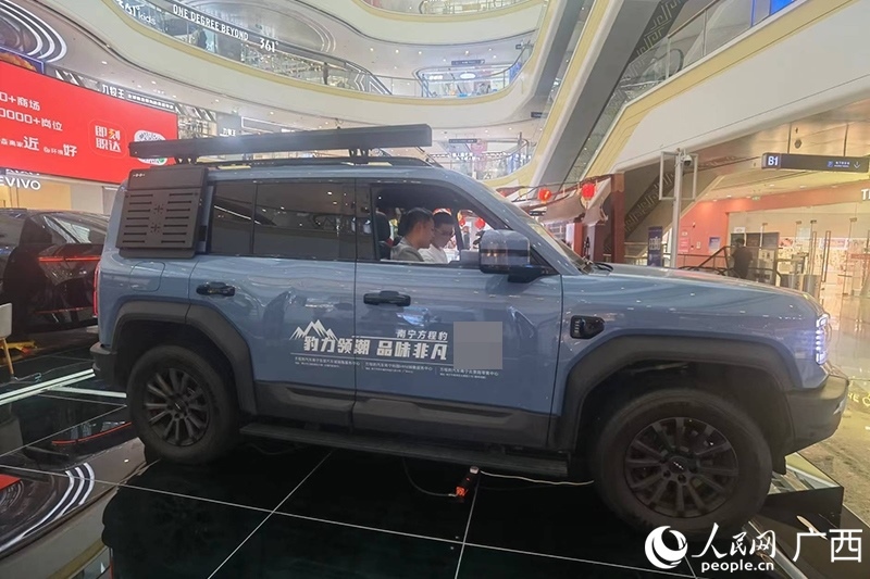 消費(fèi)者在商場(chǎng)選購(gòu)汽車(chē)。人民網(wǎng)記者 陳燕攝