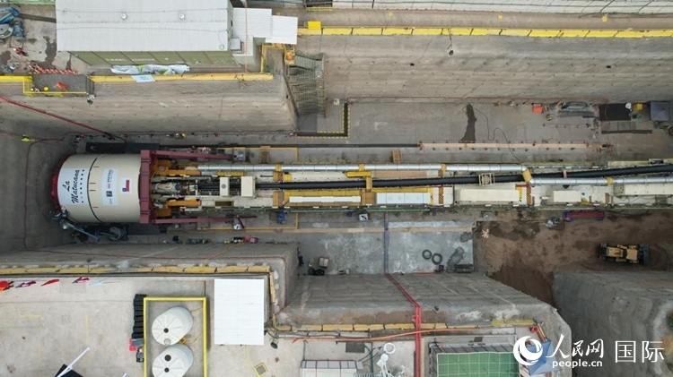 質構機全景。陳露明攝