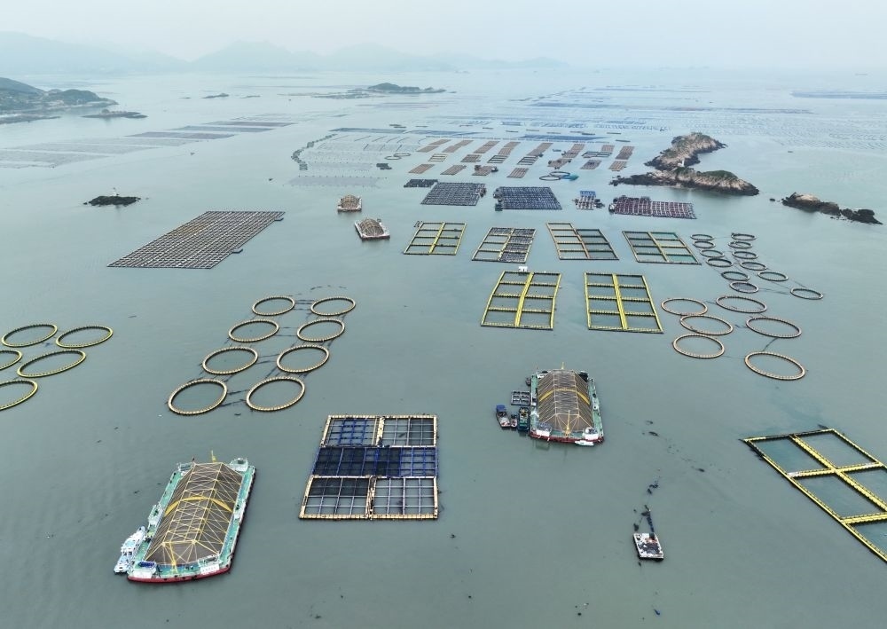 在福建連江定海灣海域，坐落著“定海灣1號”“定海灣2號”等深遠海養(yǎng)殖平臺（2024年5月7日攝，無人機照片）。新華社記者 林善傳 攝