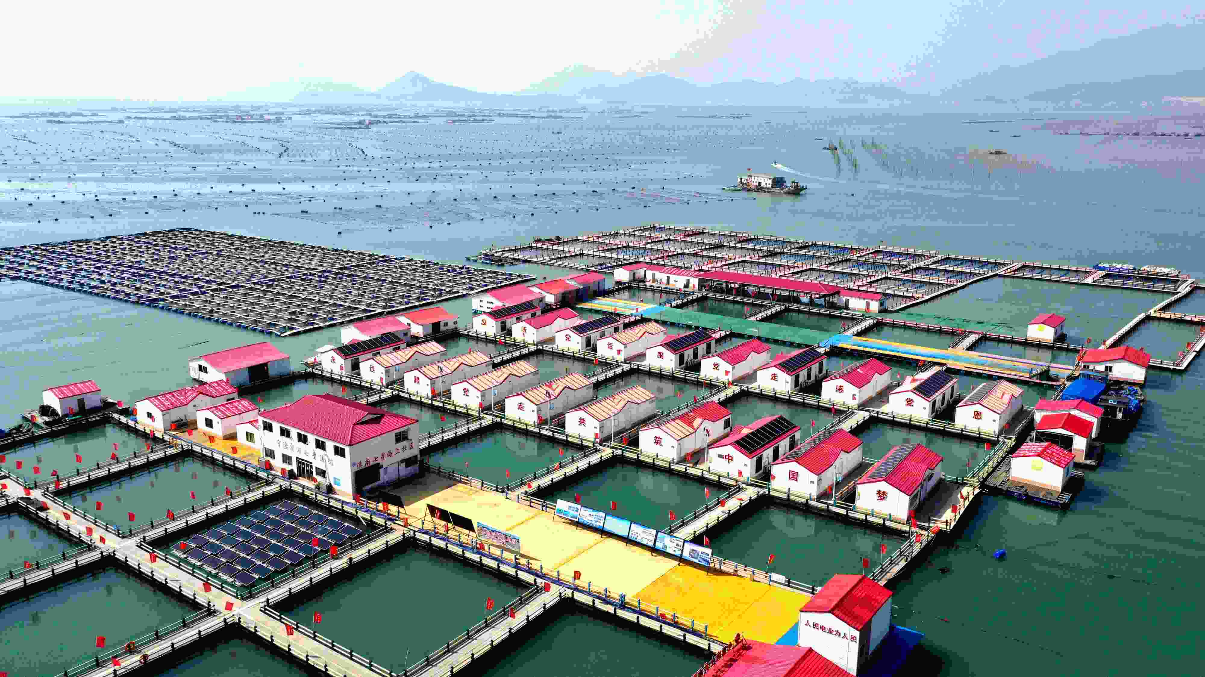 2024年3月20日，福建省寧德市，霞浦縣溪南鎮(zhèn)七星村漁排養(yǎng)殖示范區(qū)，漁民駕駛養(yǎng)殖船進行海參養(yǎng)殖作業(yè)。