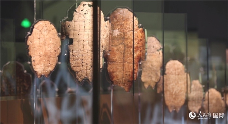 殷墟博物館新館的甲骨展品。人民網(wǎng)記者 劉寧攝