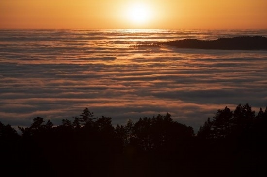 這是5月14日在美國(guó)加利福尼亞州馬林縣拍攝的云海。新華社發(fā)（李建國(guó)攝）