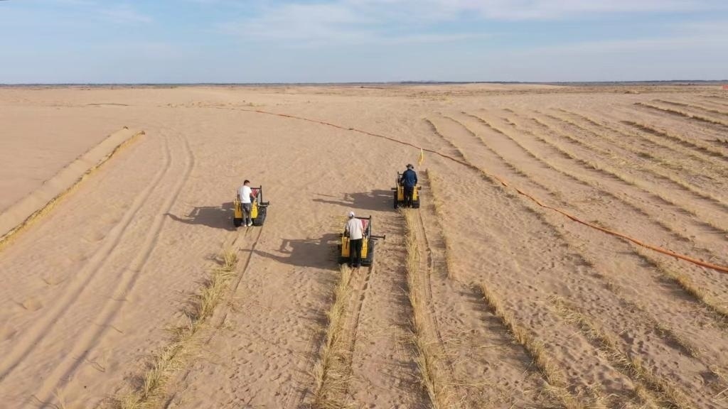 內蒙古巴彥淖爾市烏拉特后旗西補隆林業(yè)管護中心職工駕駛機械鋪設壓沙障。新華社記者 李云平 攝