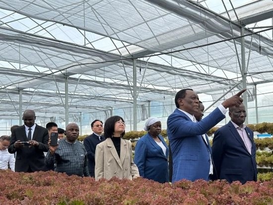 使節(jié)團考察貴州省清鎮(zhèn)駱家橋蔬菜保供基地的無土栽培溫室。新華社記者 袁睿 攝