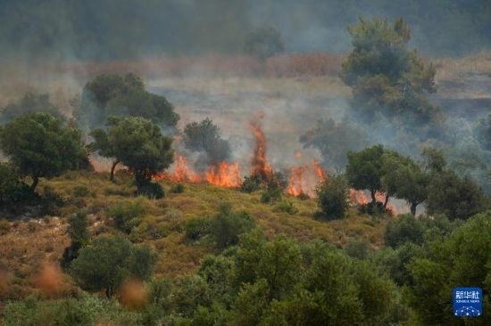 6月12日，以色列北部加利利地區(qū)遭受火箭彈襲擊后冒出滾滾濃煙。新華社發(fā)（阿亞爾·馬戈林?jǐn)z/基尼圖片社）