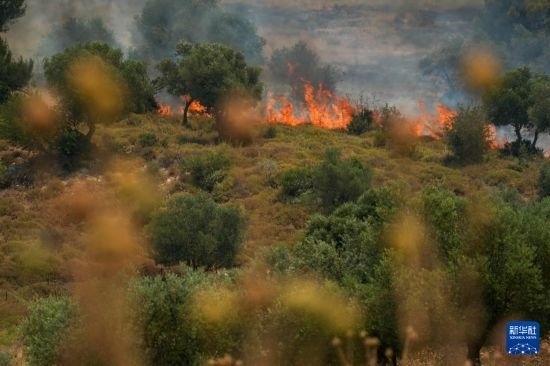 6月12日，以色列北部加利利地區(qū)遭受火箭彈襲擊后冒出滾滾濃煙。新華社發(fā)（阿亞爾·馬戈林?jǐn)z/基尼圖片社）