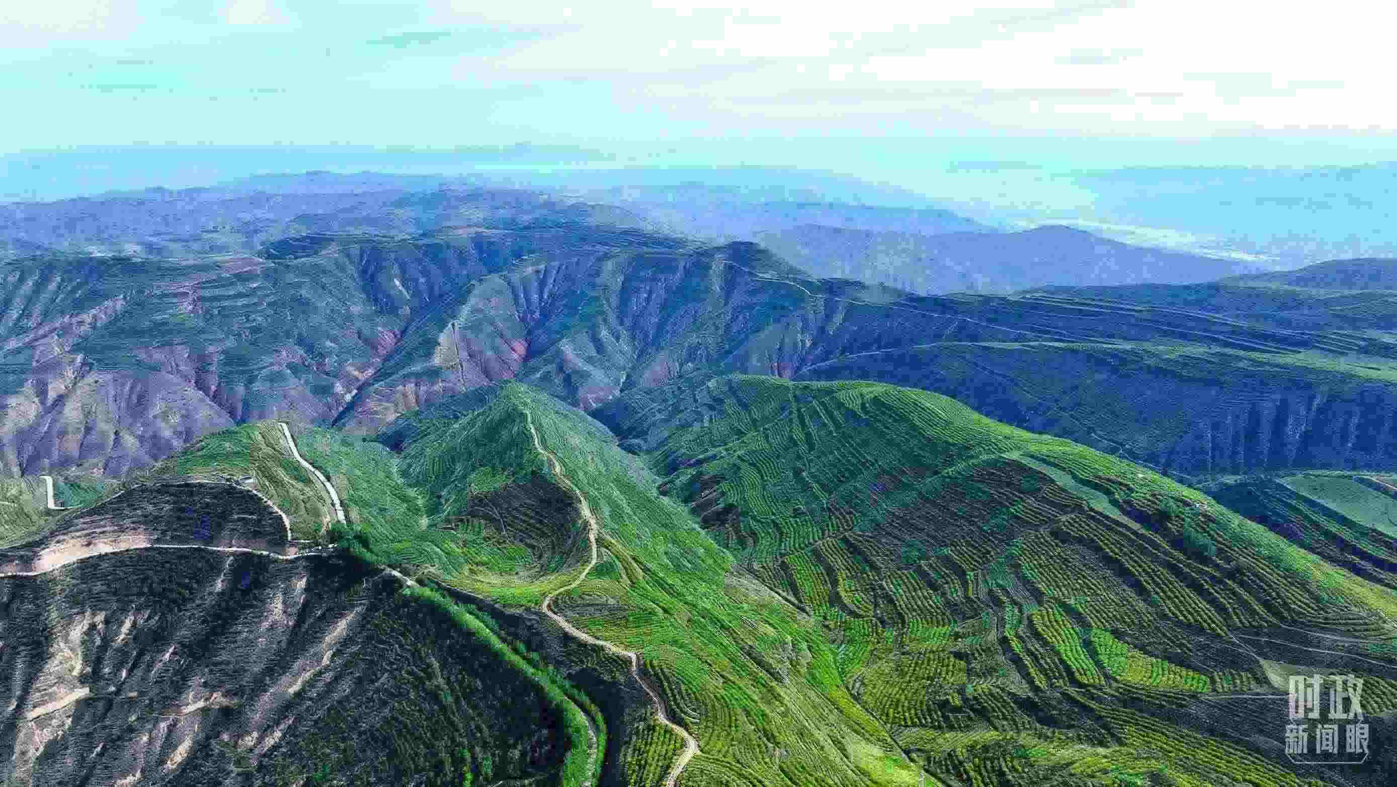 △青海西寧。（總臺記者柳成拍攝）