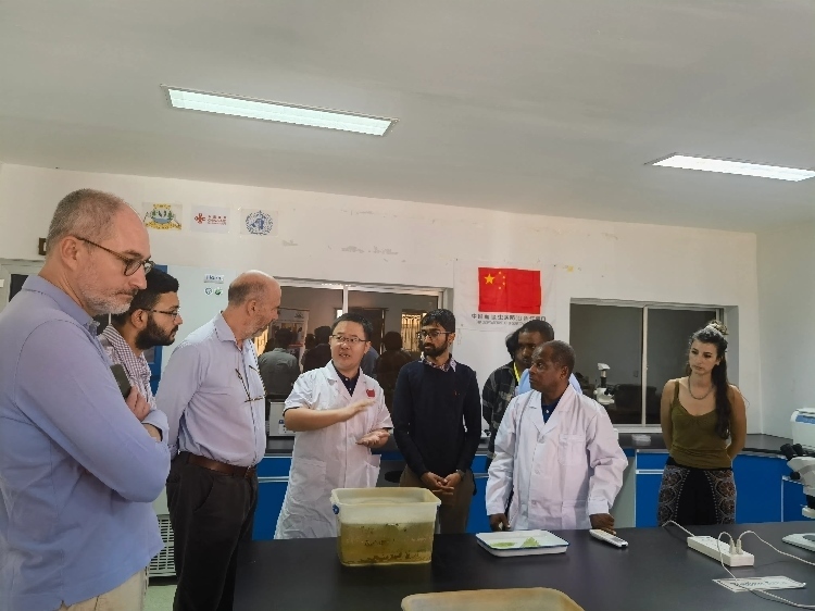 活動(dòng)現(xiàn)場(chǎng)。專家組供圖