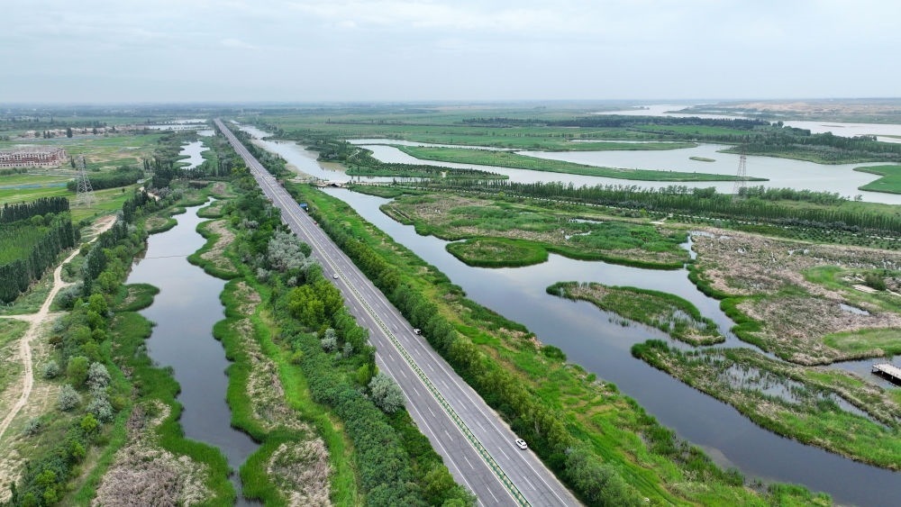 這是2024年6月13日拍攝的黃河寧夏段濱河大道（無(wú)人機(jī)照片）。近年來(lái)，寧夏努力建設(shè)黃河流域生態(tài)保護(hù)和高質(zhì)量發(fā)展先行區(qū)，全力打好黃河保護(hù)持久戰(zhàn)。新華社記者 王鵬 攝