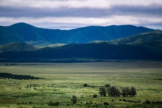 2023年8月4日拍攝的大興安嶺南麓內(nèi)蒙古罕山國(guó)家級(jí)自然保護(hù)區(qū)風(fēng)光。新華社記者 連振 攝