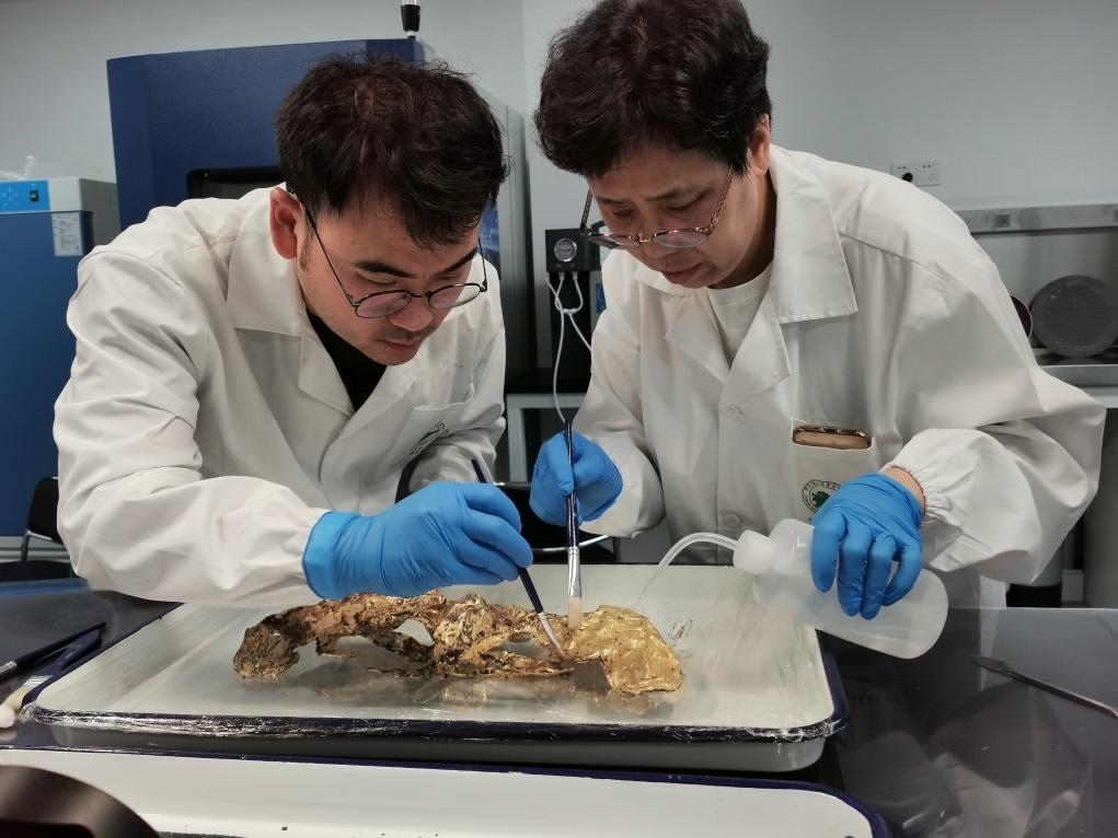 2023年7月，馬燕如（右）帶著魯海子（左）修復(fù)三星堆遺址出土的黃金面具。新華社發(fā)（四川省文物考古研究院供圖）