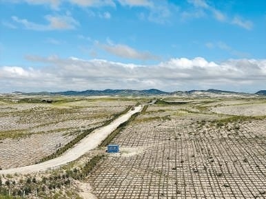 剛剛竣工的其白線穿沙公路。