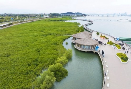 2024年1月23日拍攝的廈門市翔安區(qū)下潭尾紅樹林公園（無(wú)人機(jī)照片）。新華社記者 林善傳 攝