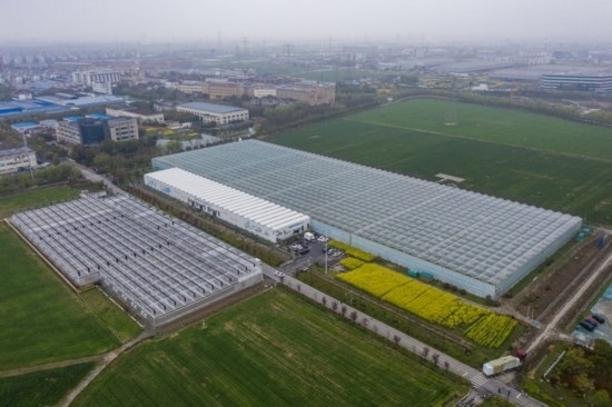 2024年3月28日，空中俯瞰嘉興南湖區(qū)湘家蕩農(nóng)業(yè)數(shù)字化工廠（無(wú)人機(jī)照片）。該農(nóng)業(yè)數(shù)字化工廠占地總面積約62畝，包含智慧農(nóng)業(yè)生產(chǎn)、物聯(lián)網(wǎng)智能管理、自動(dòng)分揀包裝、保鮮儲(chǔ)藏物流、高科技示范展示等五大功能區(qū)，可直接或間接培養(yǎng)帶動(dòng)新型職業(yè)技術(shù)農(nóng)民500人以上。新華社記者 徐昱 攝